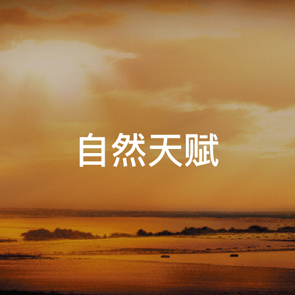 GA�ƽ��(�й���)���¹ٷ���վ